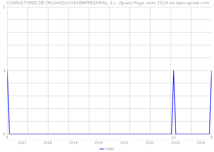  CONSULTORES DE ORGANIZACION EMPRESARIAL, S.L. (Spain) Page visits 2024 