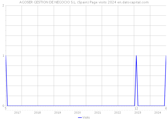 AGOSER GESTION DE NEGOCIO S.L. (Spain) Page visits 2024 