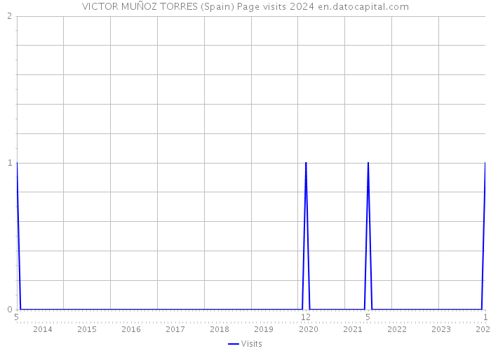 VICTOR MUÑOZ TORRES (Spain) Page visits 2024 