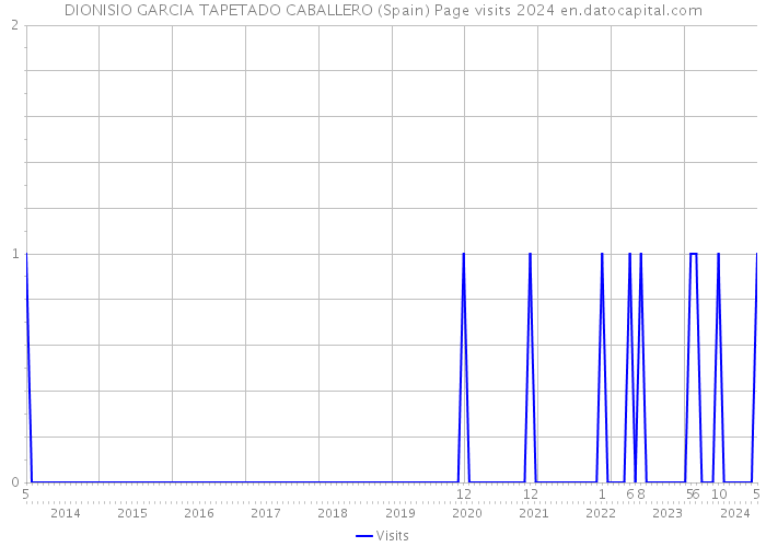 DIONISIO GARCIA TAPETADO CABALLERO (Spain) Page visits 2024 