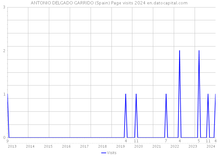 ANTONIO DELGADO GARRIDO (Spain) Page visits 2024 