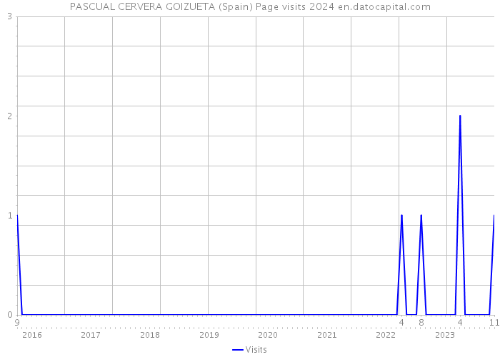 PASCUAL CERVERA GOIZUETA (Spain) Page visits 2024 