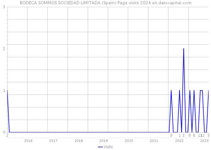 BODEGA SOMMOS SOCIEDAD LIMITADA (Spain) Page visits 2024 