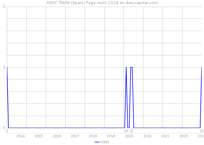 ASOC ÑAPA (Spain) Page visits 2024 