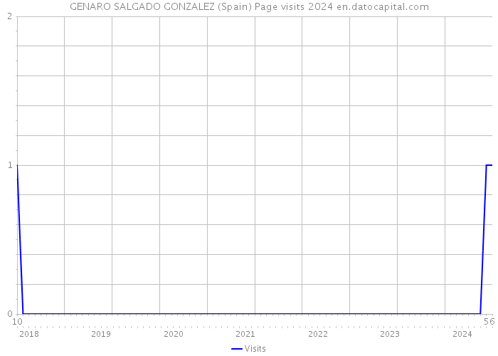 GENARO SALGADO GONZALEZ (Spain) Page visits 2024 