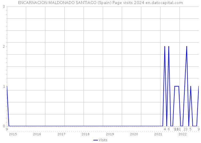 ENCARNACION MALDONADO SANTIAGO (Spain) Page visits 2024 