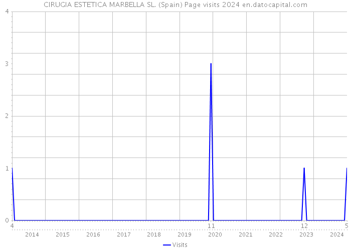 CIRUGIA ESTETICA MARBELLA SL. (Spain) Page visits 2024 