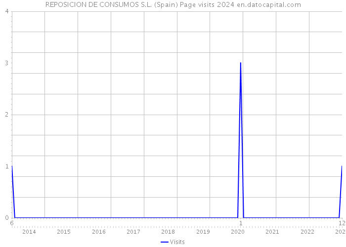 REPOSICION DE CONSUMOS S.L. (Spain) Page visits 2024 