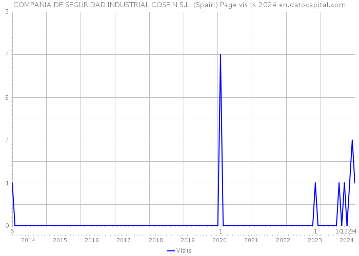 COMPANIA DE SEGURIDAD INDUSTRIAL COSEIN S.L. (Spain) Page visits 2024 