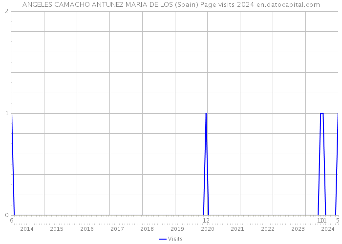 ANGELES CAMACHO ANTUNEZ MARIA DE LOS (Spain) Page visits 2024 