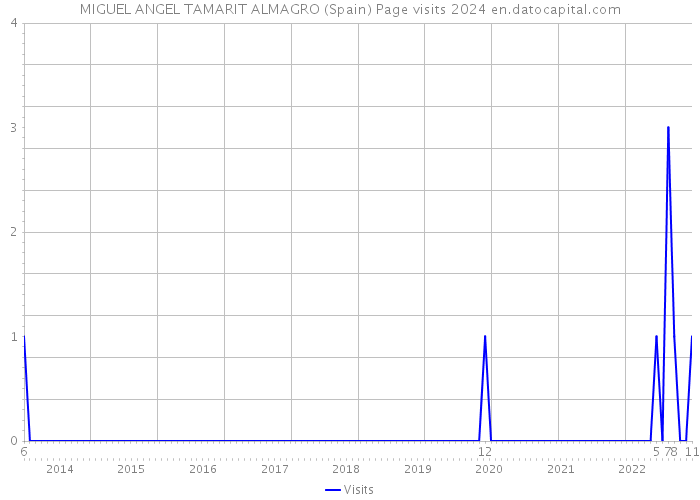 MIGUEL ANGEL TAMARIT ALMAGRO (Spain) Page visits 2024 