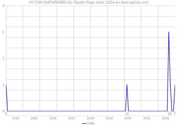 VICTOR CASTAÑARES GIL (Spain) Page visits 2024 