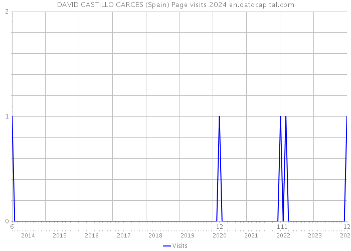 DAVID CASTILLO GARCES (Spain) Page visits 2024 
