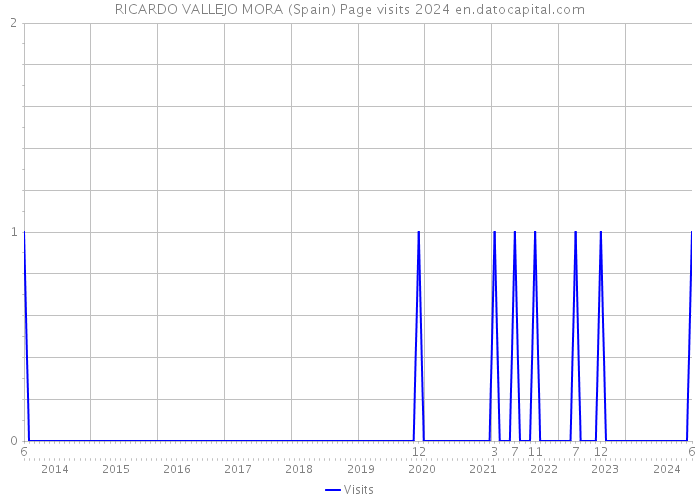 RICARDO VALLEJO MORA (Spain) Page visits 2024 