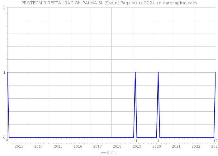 PROTECMIR RESTAURACION PALMA SL (Spain) Page visits 2024 