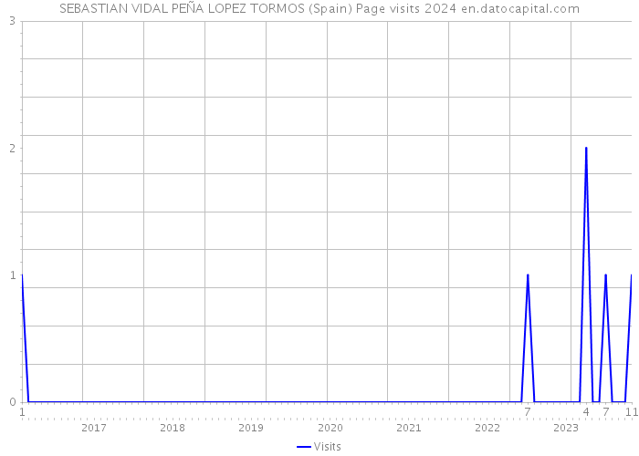 SEBASTIAN VIDAL PEÑA LOPEZ TORMOS (Spain) Page visits 2024 