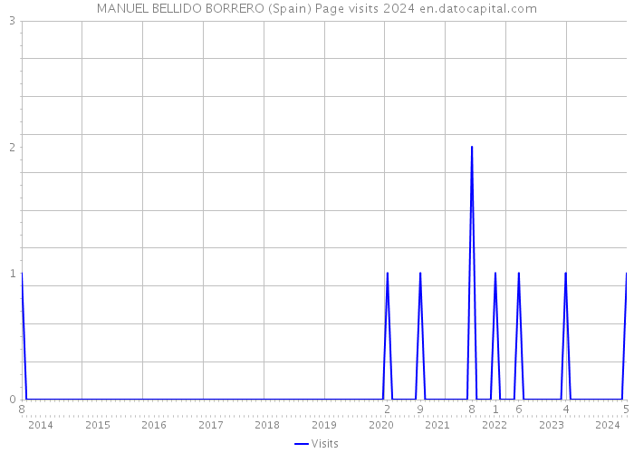 MANUEL BELLIDO BORRERO (Spain) Page visits 2024 