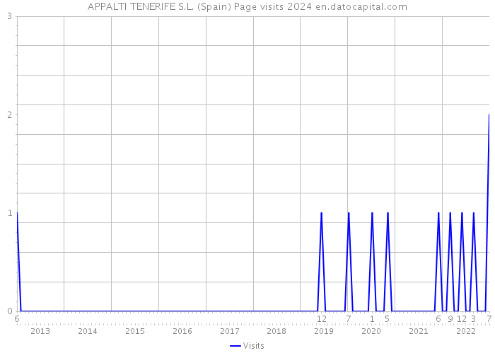 APPALTI TENERIFE S.L. (Spain) Page visits 2024 