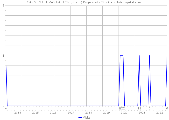 CARMEN CUEVAS PASTOR (Spain) Page visits 2024 