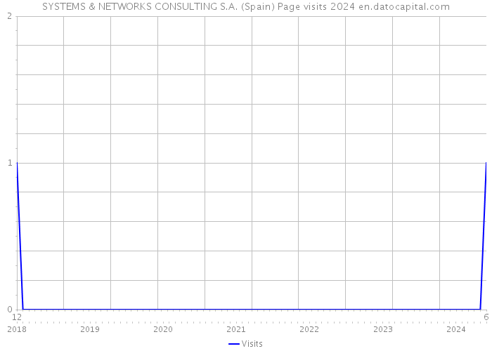 SYSTEMS & NETWORKS CONSULTING S.A. (Spain) Page visits 2024 