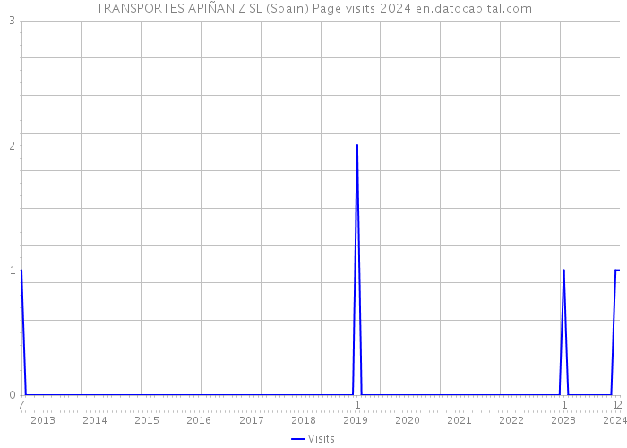 TRANSPORTES APIÑANIZ SL (Spain) Page visits 2024 