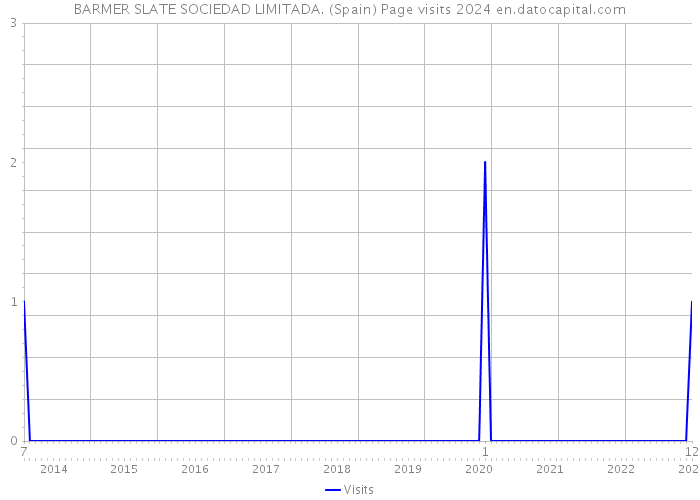 BARMER SLATE SOCIEDAD LIMITADA. (Spain) Page visits 2024 