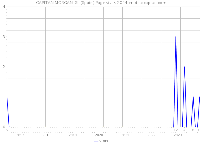 CAPITAN MORGAN, SL (Spain) Page visits 2024 