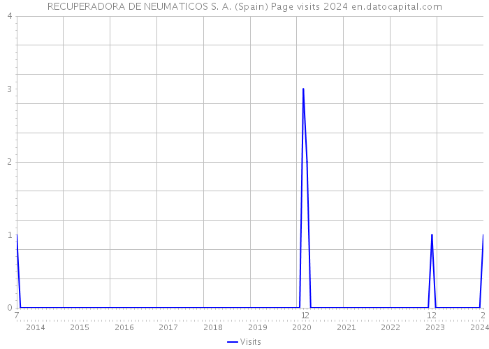 RECUPERADORA DE NEUMATICOS S. A. (Spain) Page visits 2024 