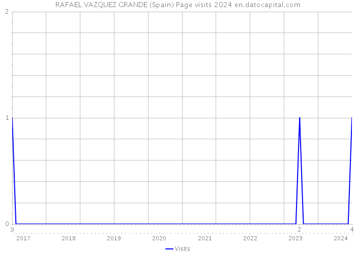 RAFAEL VAZQUEZ GRANDE (Spain) Page visits 2024 