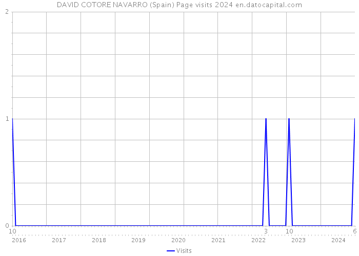 DAVID COTORE NAVARRO (Spain) Page visits 2024 