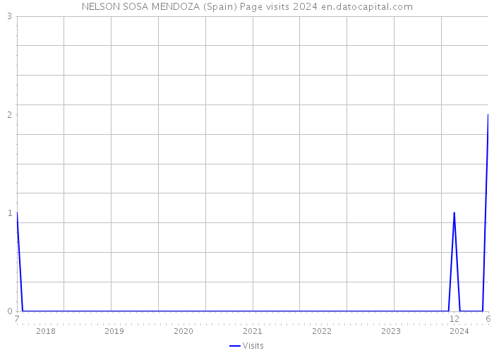 NELSON SOSA MENDOZA (Spain) Page visits 2024 