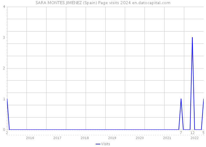 SARA MONTES JIMENEZ (Spain) Page visits 2024 