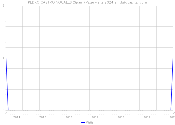 PEDRO CASTRO NOGALES (Spain) Page visits 2024 