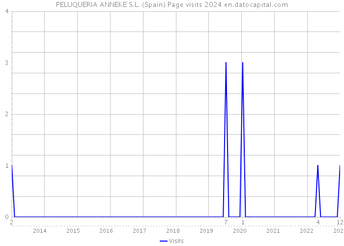PELUQUERIA ANNEKE S.L. (Spain) Page visits 2024 