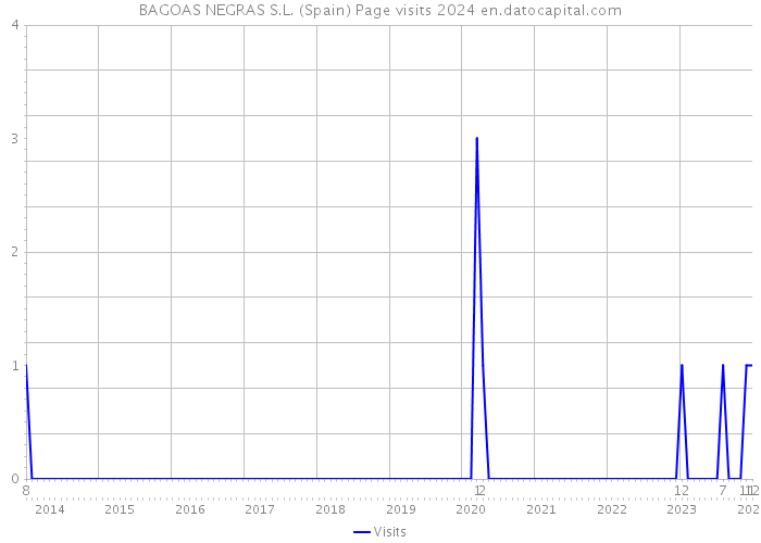 BAGOAS NEGRAS S.L. (Spain) Page visits 2024 