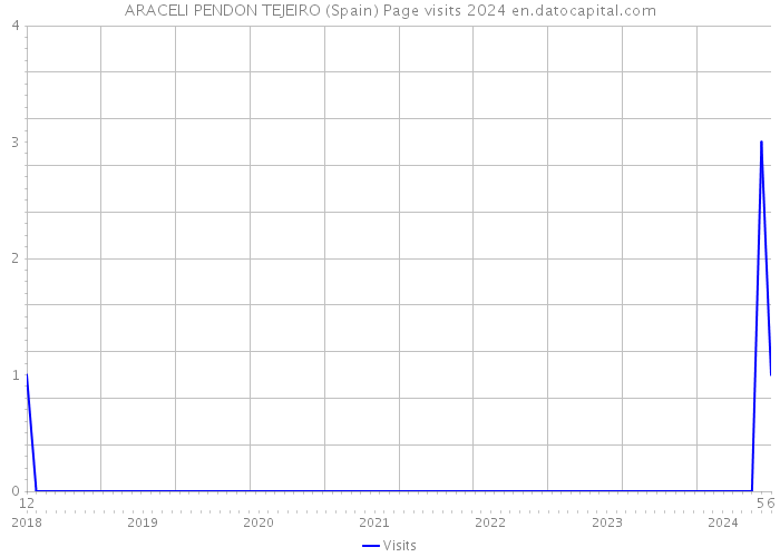 ARACELI PENDON TEJEIRO (Spain) Page visits 2024 