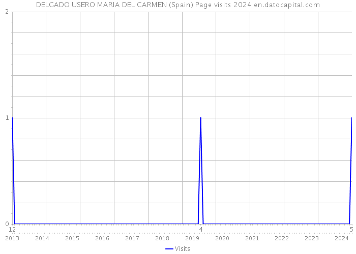 DELGADO USERO MARIA DEL CARMEN (Spain) Page visits 2024 