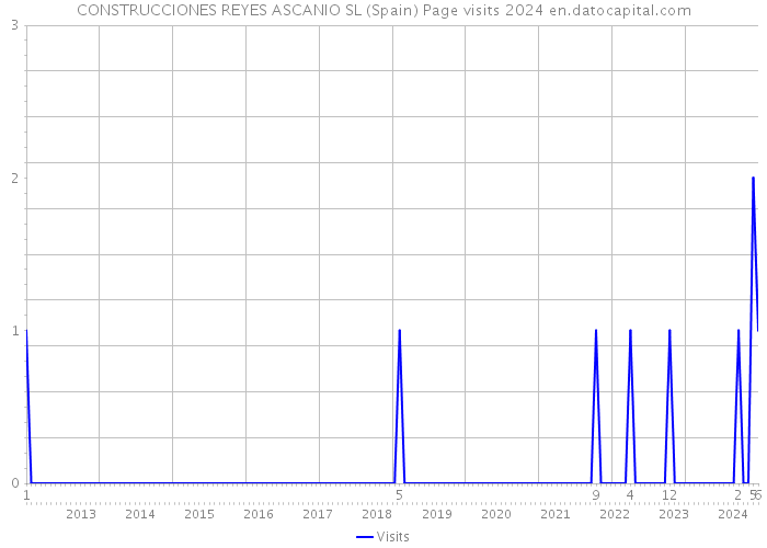 CONSTRUCCIONES REYES ASCANIO SL (Spain) Page visits 2024 