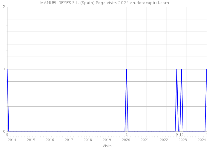 MANUEL REYES S.L. (Spain) Page visits 2024 