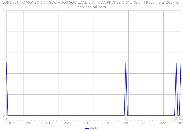 CONSULTING MONZON Y ASOCIADOS SOCIEDAD LIMITADA PROFESIONAL (Spain) Page visits 2024 