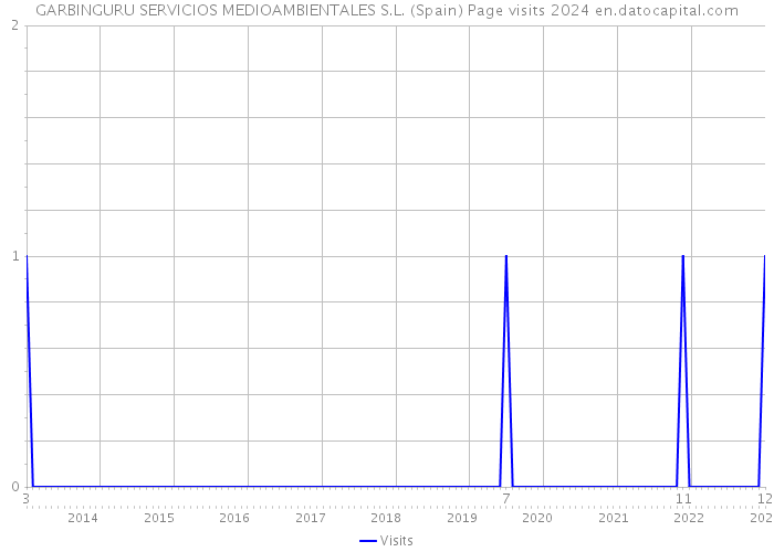 GARBINGURU SERVICIOS MEDIOAMBIENTALES S.L. (Spain) Page visits 2024 