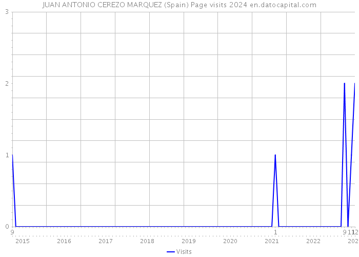 JUAN ANTONIO CEREZO MARQUEZ (Spain) Page visits 2024 