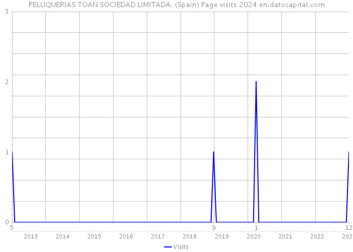 PELUQUERIAS TOAN SOCIEDAD LIMITADA. (Spain) Page visits 2024 
