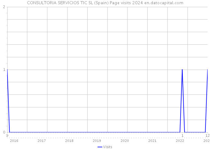 CONSULTORIA SERVICIOS TIC SL (Spain) Page visits 2024 