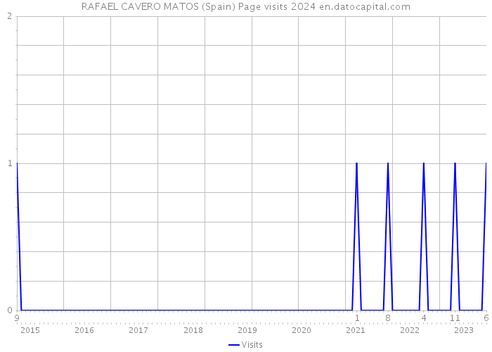 RAFAEL CAVERO MATOS (Spain) Page visits 2024 