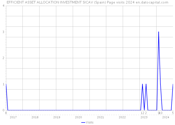 EFFICIENT ASSET ALLOCATION INVESTMENT SICAV (Spain) Page visits 2024 