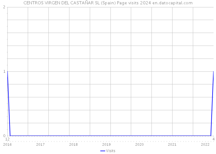 CENTROS VIRGEN DEL CASTAÑAR SL (Spain) Page visits 2024 