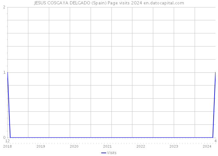 JESUS COSGAYA DELGADO (Spain) Page visits 2024 