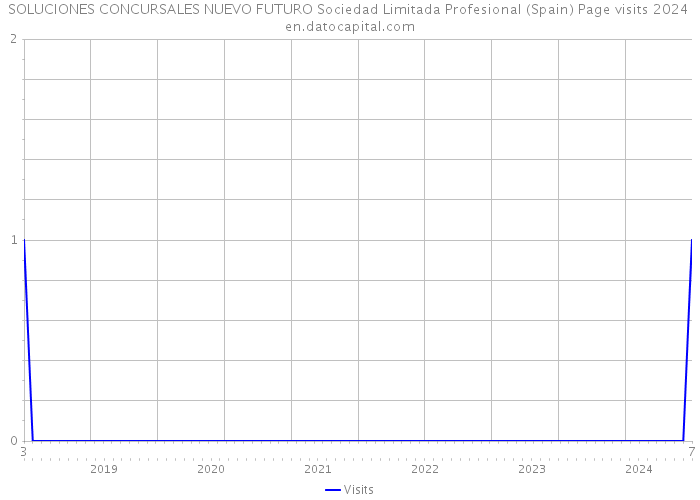 SOLUCIONES CONCURSALES NUEVO FUTURO Sociedad Limitada Profesional (Spain) Page visits 2024 