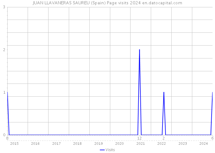 JUAN LLAVANERAS SAUREU (Spain) Page visits 2024 